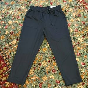 Ann Taylor Black Ankle  pants